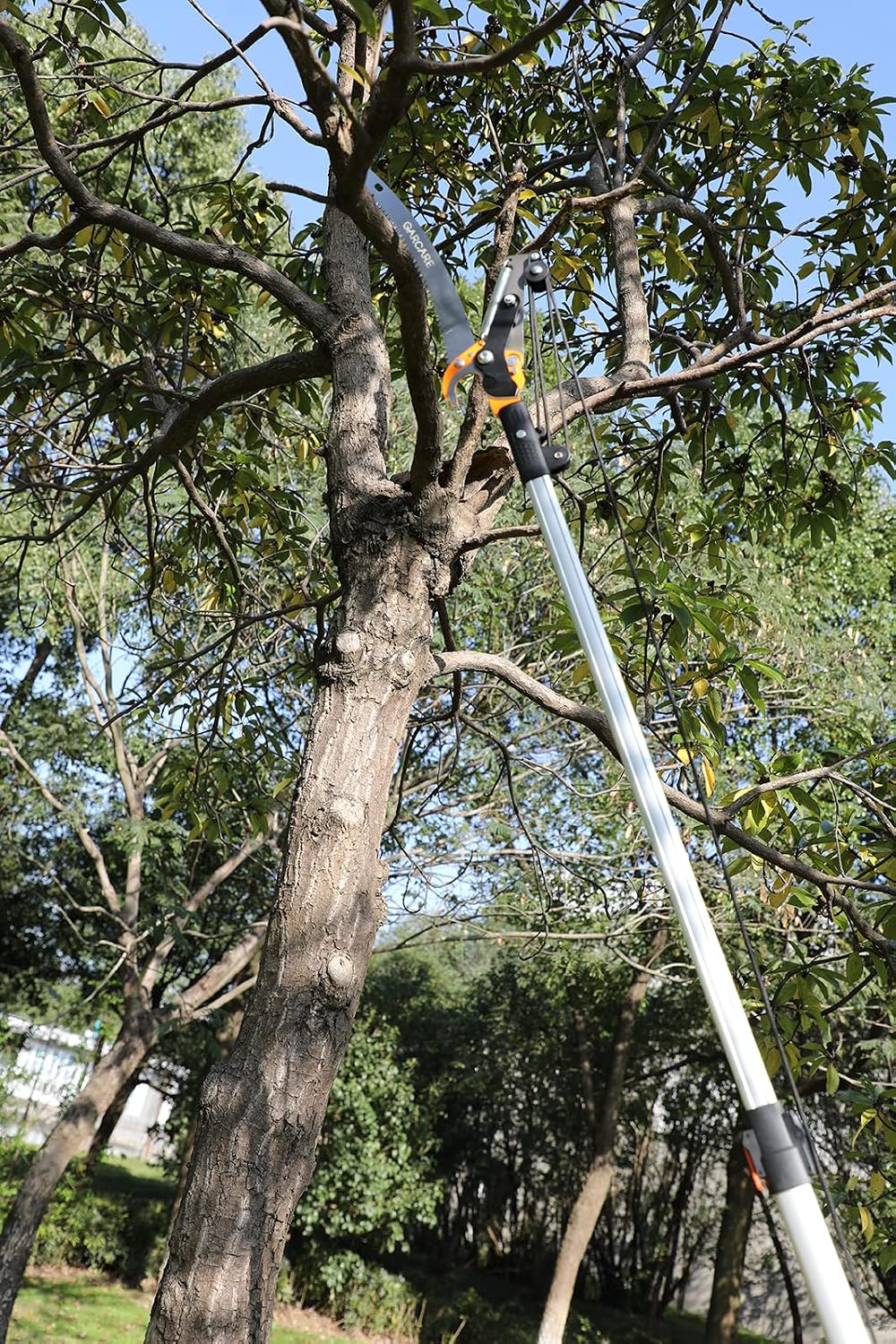 GARCARE Telescopic Tree Pruner & Lopper 2 in 1, Pole Saws for Tree Trimming | 35mm Cutting Capacity, 1.4-2.1m Extension Pole, Lightweight Long Reach Saw for Branches, Carbon Steel Blade